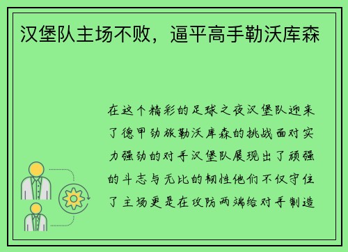 汉堡队主场不败，逼平高手勒沃库森