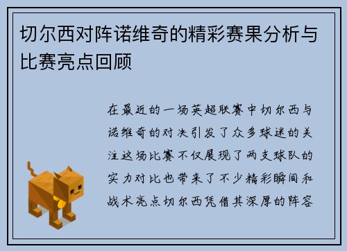 切尔西对阵诺维奇的精彩赛果分析与比赛亮点回顾