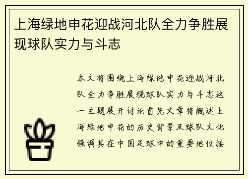 上海绿地申花迎战河北队全力争胜展现球队实力与斗志