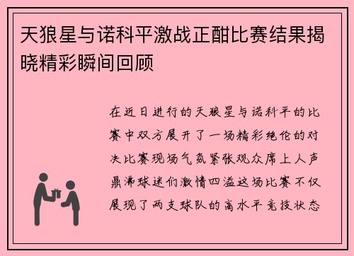 天狼星与诺科平激战正酣比赛结果揭晓精彩瞬间回顾