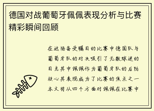 德国对战葡萄牙佩佩表现分析与比赛精彩瞬间回顾