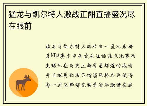猛龙与凯尔特人激战正酣直播盛况尽在眼前