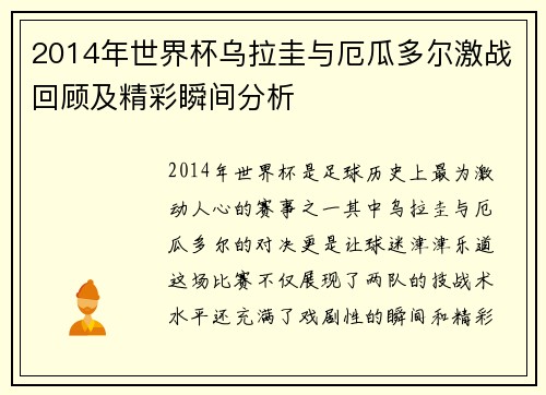 2014年世界杯乌拉圭与厄瓜多尔激战回顾及精彩瞬间分析